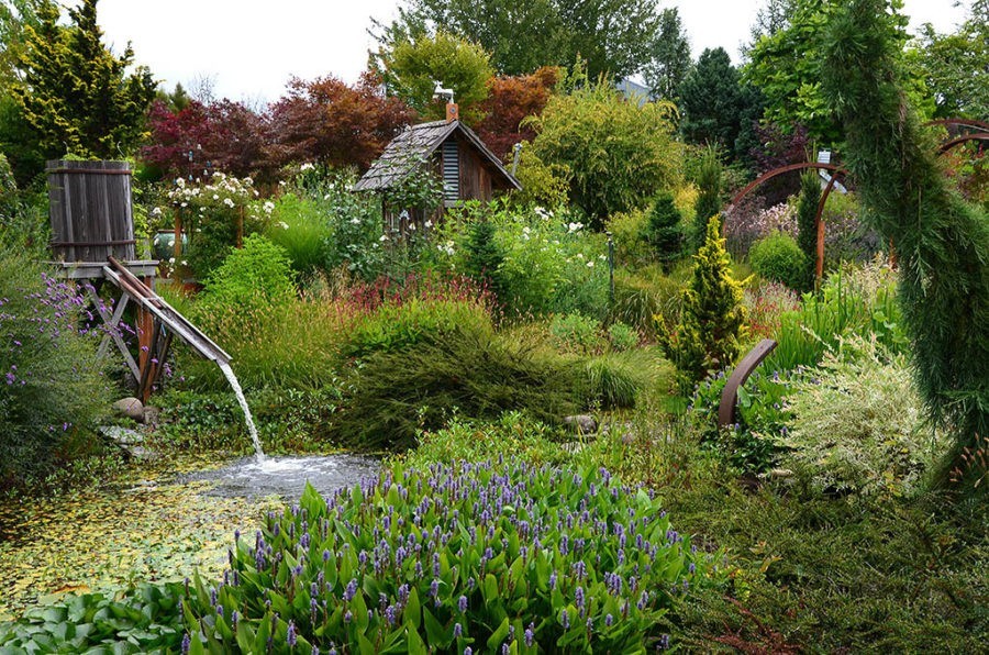 Laurel Hedge Garden